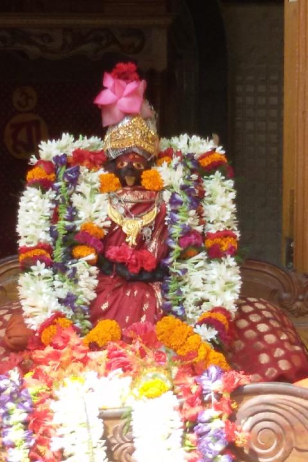 WhatsApp Image 2026-09-02 at 1.27.29 PM